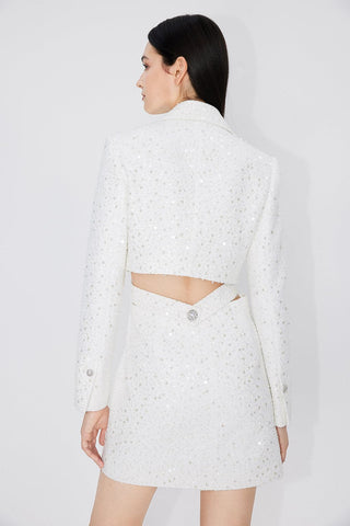 Suit Skirt With Beaded Sequin Embroidered