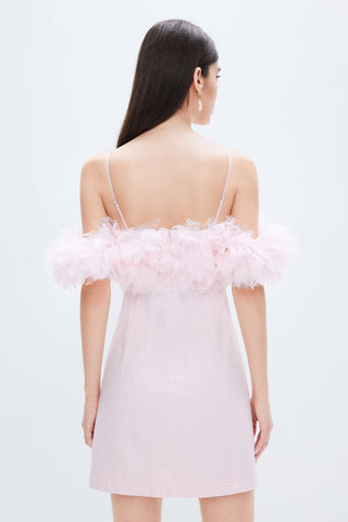Light Pink Dress With Feather