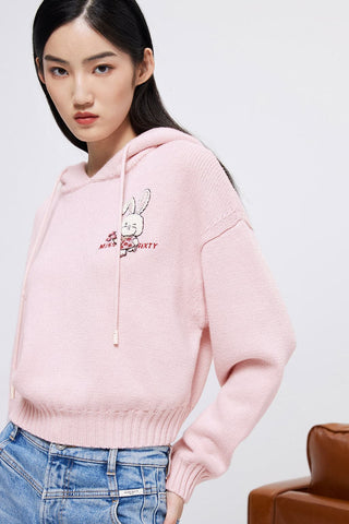 Drawstring Hooded Jumper With Embroidered