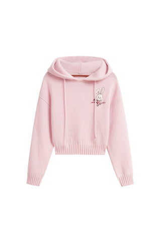 Drawstring Hooded Jumper With Embroidered
