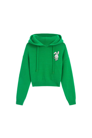 Drawstring Hooded Jumper With Embroidered